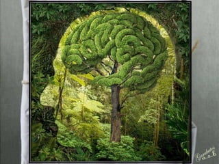 Surrealism (Igor Morski)
