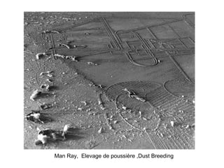 Man Ray, Elevage de poussière ,Dust Breeding
 