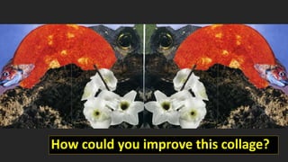 How could you improve this collage?
 