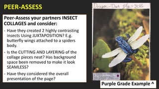 PEER-ASSESS
Peer-Assess your partners INSECT
COLLAGES and consider:
- Have they created 2 highly contrasting
insects Using JUXTAPOSITION? E.g.
butterfly wings attached to a spiders
body.
- Is the CUTTING AND LAYERING of the
collage pieces neat? Has background
space been removed to make it look
SEAMLESS?
- Have they considered the overall
presentation of the page?
Purple Grade Example ^
 