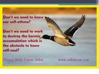 Surrender to lotus feet