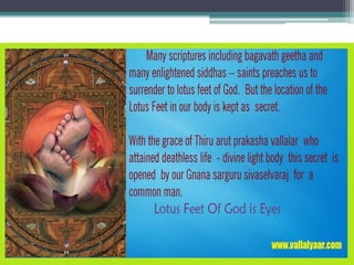 Surrender to lotus feet