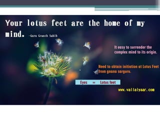 Surrender to lotus feet