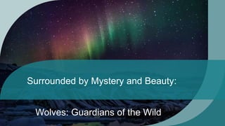 Surrounded by Mystery and Beauty:
Wolves: Guardians of the Wild
 