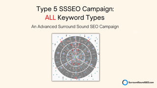Surround Sound SEO Campaign Types.pdf