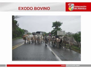 11 INSTITUCIONES DE SALUD