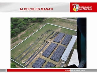 ABASTECIMIENTO DE ALIMENTOSREPELÓNEN EL PUEBLOUN ALBERGUE