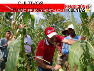 RED DE CONDUCCIÓN – REHABILITACIÓN PLANTA TRATAMIENTO MANATÍ - CANDELARIAMÁS CALIDAD DE VIDA PARA EL SURDEL ATLÁNTICOEJECUTADO