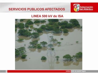 ZONA DEL BOQUETE DICIEMBRE 3