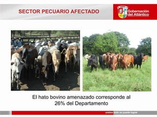 298 KM DE VIAS AFECTADAS