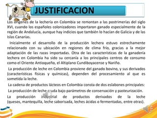 JUSTIFICACION
Los orígenes de la lechería en Colombia se remontan a las postrimerías del siglo
XVI, cuando los españoles colonizadores importaron ganado especialmente de la
región de Andalucía, aunque hay indicios que también lo hacían de Galicia y de las
Islas Canarias.
Inicialmente el desarrollo de la producción lechera estuvo estrechamente
relacionado con su ubicación en regiones de clima frío, gracias a la mejor
adaptación de las razas importadas. Otra de las características de la ganadería
lechera en Colombia ha sido su cercanía a los principales centros de consumo
como el Oriente Antioqueño, el Altiplano Cundiboyacense y Nariño.
La producción de leche en Colombia proviene del ganado bovino, y sus derivados
(características físicas y químicas), dependen del procesamiento al que es
sometida la leche.
La cadena de productos lácteos en Colombia consta de dos eslabones principales:
La producción de leche cruda bajo parámetros de conservación y pasteurización.
La producción industrial de productos derivados de la leche
(quesos, mantequilla, leche saborisada, leches ácidas o fermentadas, entre otras).
 