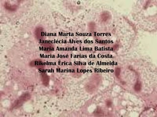Diana Marta Souza Torres
Janeclécia Alves dos Santos
Maria Amanda Lima Batista
Maria José Farias da Costa
Rikelma Érica Silva de Almeida
Sarah Marina Lopes Ribeiro
 