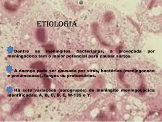etiologia
Dentre as meningites bacterianas, a provocada por
meningococo tem o maior potencial para causar surtos.
A doença pode ser causada por vírus, bactérias (meningococo
e pneumococo), fungos ou protozoários.
Há sete variações (sorogrupos) de meningite meningocócica
identificadas: A, B, C, D. E, W-135 e Y.
 