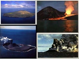 Surtsey selma