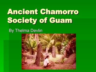 Ancient Chamorro Society of Guam By Thelma Devlin 