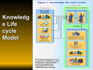 Knowledge Life cycle Model   