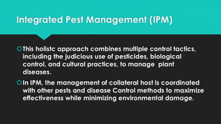 Integrated Pest Management (IPM)
This holistc approach combines multiple control tactics,
including the judicious use of pesticides, biological
control, and cultural practices, to manage plant
diseases.
In IPM, the management of collateral host is coordinated
with other pests and disease Control methods to maximize
effectiveness while minimizing environmental damage.
 