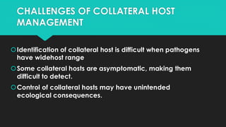 CHALLENGES OF COLLATERAL HOST
MANAGEMENT
Identification of collateral host is difficult when pathogens
have widehost range
Some collateral hosts are asymptomatic, making them
difficult to detect.
Control of collateral hosts may have unintended
ecological consequences.
 