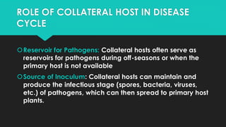ROLE OF COLLATERAL HOST IN DISEASE
CYCLE
Reservoir for Pathogens: Collateral hosts often serve as
reservoirs for pathogens during off-seasons or when the
primary host is not available
Source of Inoculum: Collateral hosts can maintain and
produce the infectious stage (spores, bacteria, viruses,
etc.) of pathogens, which can then spread to primary host
plants.
 