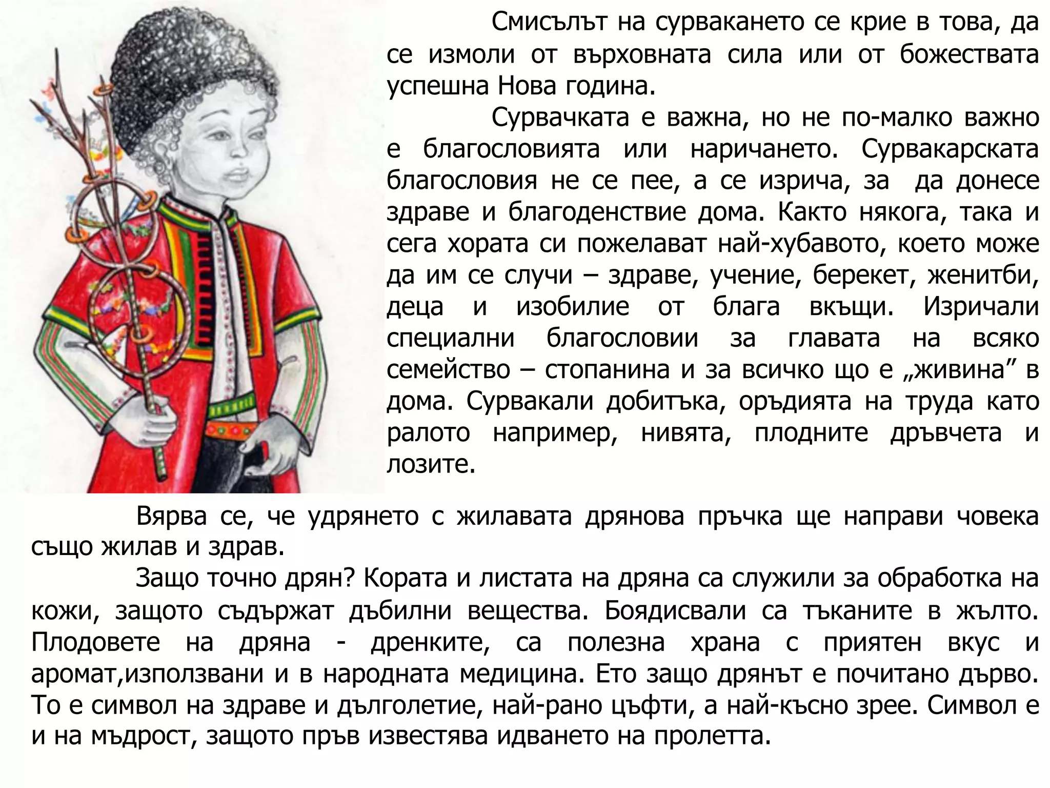 Смисълът на сурвакането се крие в това, да
се измоли от върховната сила или от божествата
успешна Нова година.
Сурвачката е важна, но не по-малко важно
е благословията или наричането. Сурвакарската
благословия не се пее, а се изрича, за да донесе
здраве и благоденствие дома. Както някога, така и
сега хората си пожелават най-хубавото, което може
да им се случи – здраве, учение, берекет, женитби,
деца и изобилие от блага вкъщи. Изричали
специални благословии за главата на всяко
семейство – стопанина и за всичко що е „живина” в
дома. Сурвакали добитъка, оръдията на труда като
ралото например, нивята, плодните дръвчета и
лозите.
Вярва се, че удрянето с жилавата дрянова пръчка ще направи човека
също жилав и здрав.
Защо точно дрян? Кората и листата на дряна са служили за обработка на
кожи, защото съдържат дъбилни вещества. Боядисвали са тъканите в жълто.
Плодовете на дряна - дренките, са полезна храна с приятен вкус и
аромат,използвани и в народната медицина. Ето защо дрянът е почитано дърво.
То е символ на здраве и дълголетие, най-рано цъфти, а най-късно зрее. Символ е
и на мъдрост, защото пръв известява идването на пролетта.

 
