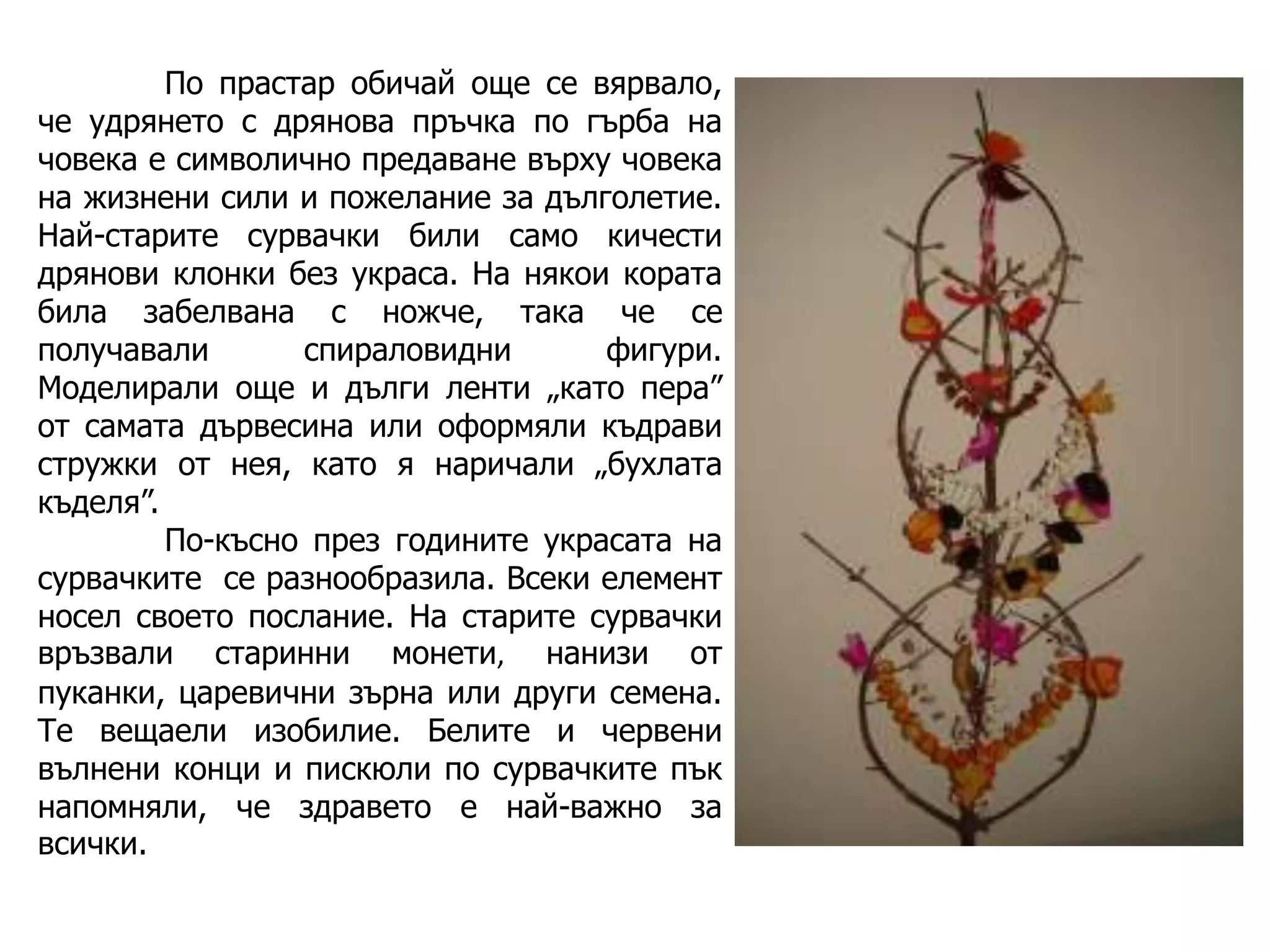 По прастар обичай още се вярвало,
че удрянето с дрянова пръчка по гърба на
човека е символично предаване върху човека
на жизнени сили и пожелание за дълголетие.
Най-старите сурвачки били само кичести
дрянови клонки без украса. На някои кората
била забелвана с ножче, така че се
получавали
спираловидни
фигури.
Моделирали още и дълги ленти „като пера”
от самата дървесина или оформяли къдрави
стружки от нея, като я наричали „бухлата
къделя”.
По-късно през годините украсата на
сурвачките се разнообразила. Всеки елемент
носел своето послание. На старите сурвачки
връзвали старинни монети, нанизи от
пуканки, царевични зърна или други семена.
Те вещаели изобилие. Белите и червени
вълнени конци и пискюли по сурвачките пък
напомняли, че здравето е най-важно за
всички.

 