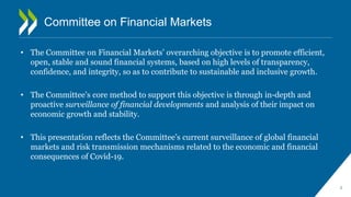 The Impact of COVID-19 on the Financial Resilience of Global Financial ...