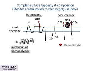 Surveillance and disease control approaches for pigs and their application to ASF