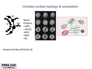 Surveillance and disease control approaches for pigs and their application to ASF