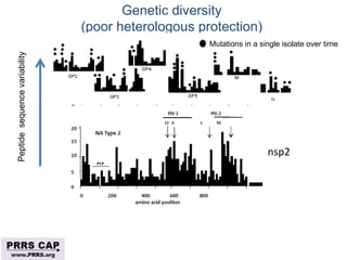 Surveillance and disease control approaches for pigs and their application to ASF