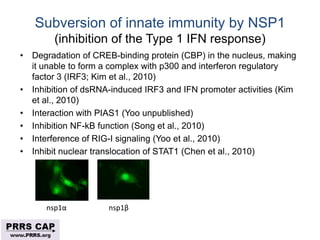 Surveillance and disease control approaches for pigs and their application to ASF