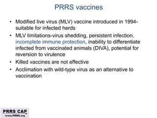 Surveillance and disease control approaches for pigs and their application to ASF