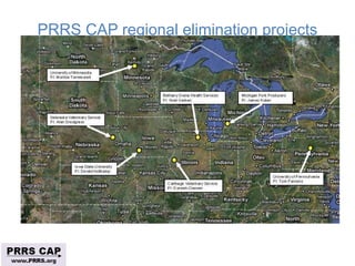 Surveillance and disease control approaches for pigs and their application to ASF