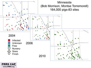 Surveillance and disease control approaches for pigs and their application to ASF