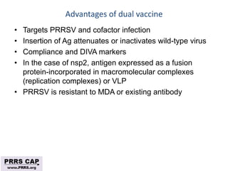 Surveillance and disease control approaches for pigs and their application to ASF