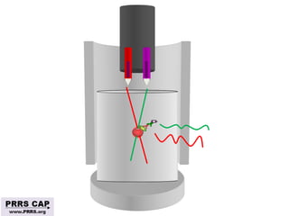 Surveillance and disease control approaches for pigs and their application to ASF