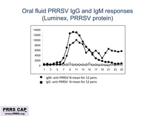 Surveillance and disease control approaches for pigs and their application to ASF