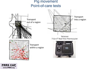 Surveillance and disease control approaches for pigs and their application to ASF