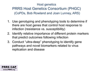 Surveillance and disease control approaches for pigs and their application to ASF