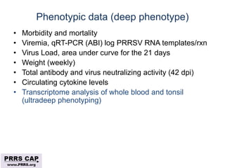 Surveillance and disease control approaches for pigs and their application to ASF