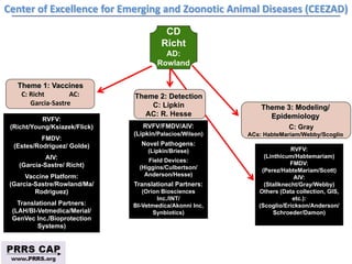 Surveillance and disease control approaches for pigs and their application to ASF