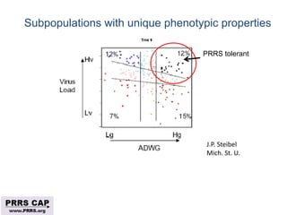 Surveillance and disease control approaches for pigs and their application to ASF