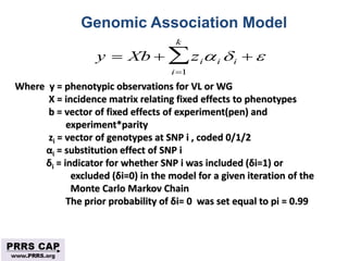 Surveillance and disease control approaches for pigs and their application to ASF