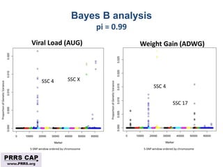 Surveillance and disease control approaches for pigs and their application to ASF