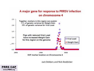 Surveillance and disease control approaches for pigs and their application to ASF