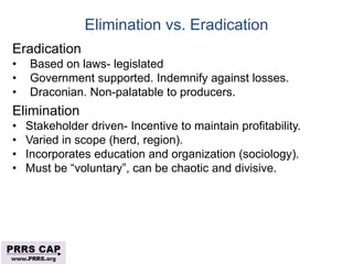 Surveillance and disease control approaches for pigs and their application to ASF