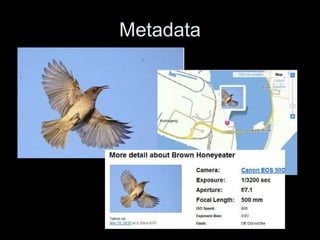 Metadata 