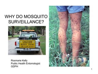 WHY DO MOSQUITO SURVEILLANCE? Rosmarie Kelly Public Health Entomologist GDPH 