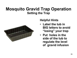 Mosquito Gravid Trap Operation Setting the Trap Helpful Hints Label the tub in BIG letters to avoid “losing” your trap Put  holes in the side of the tub to regulate the level of  gravid infusion 