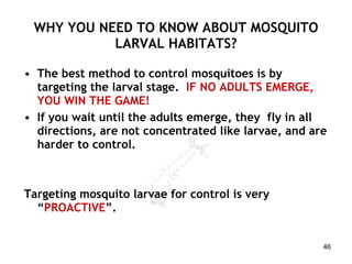 WHY YOU NEED TO KNOW ABOUT MOSQUITO LARVAL HABITATS? The best method to control mosquitoes is by targeting the larval stage.  IF NO ADULTS EMERGE, YOU WIN THE GAME! If you wait until the adults emerge, they  fly in all directions, are not concentrated like larvae, and are harder to control. Targeting mosquito larvae for control is very “ PROACTIVE ”. 