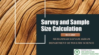 Survey and Sample
Size Calculation
MUHAMMAD SAYYAM AKRAM
DEPARTMENT OF POULTRY SCIENCE
 